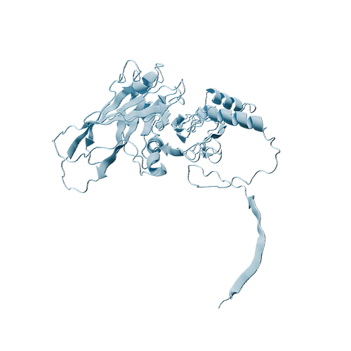 P12643-Human Mouse Rat BMP-2-3d structure.jpg